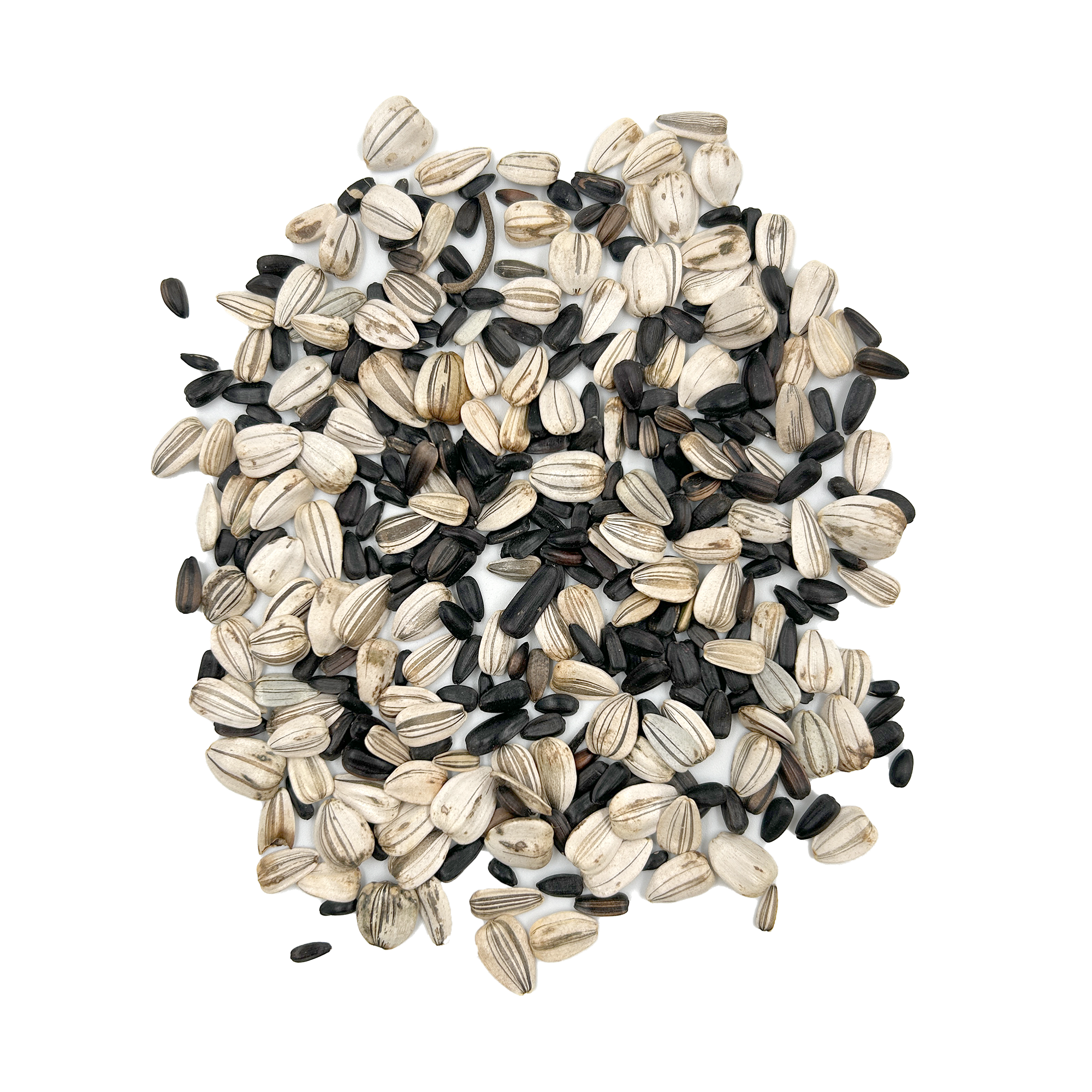 Sunsational Sunflower seed spill